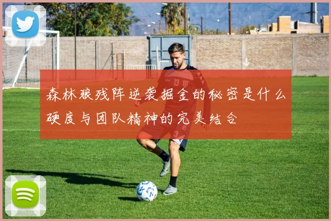 森林狼残阵逆袭掘金的秘密是什么硬度与团队精神的完美结合